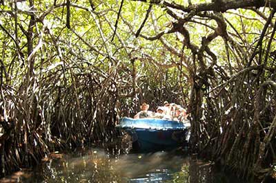 Madu River Boat Safari | elephanttoe.com