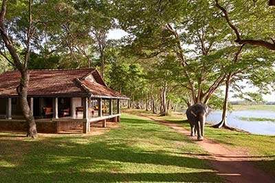 Habarana Village Sri Lanka  | elephanttoe.com