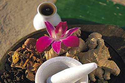 Ayurvedic Body Massage For Relaxing | elephanttoe.com