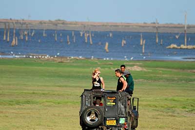 Minneriya Sri Lanka | elephanttoe.com