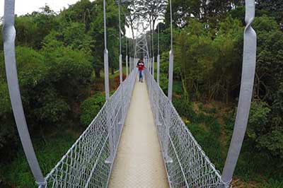 Peradeniya Botanical Garden | elephanttoe.com