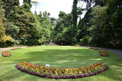Royal Botanical Garden Kandy | elephanttoe.com