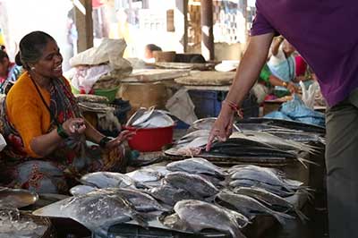 Negombo Sri Lanka Fish Market | elephanttoe.com