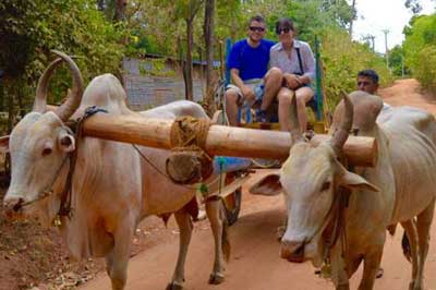Village Sigiriya Tour |elephanttoe.com 